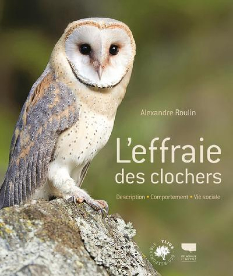 L'Effraie des clochers - Alexandre Roulin - DELACHAUX