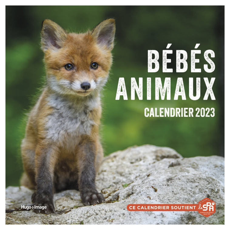 Calendrier Mural bébés animaux 2023 -   - HUGO IMAGE