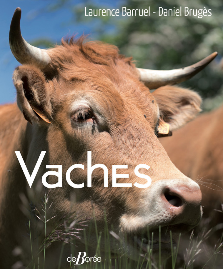 Vaches - Laurence Barruel - DE BOREE