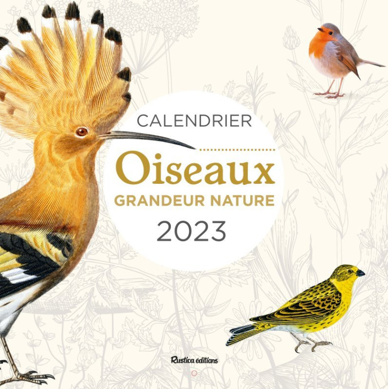 Calendrier Oiseaux grandeur nature 2023 - Guilhem Lesaffre - RUSTICA