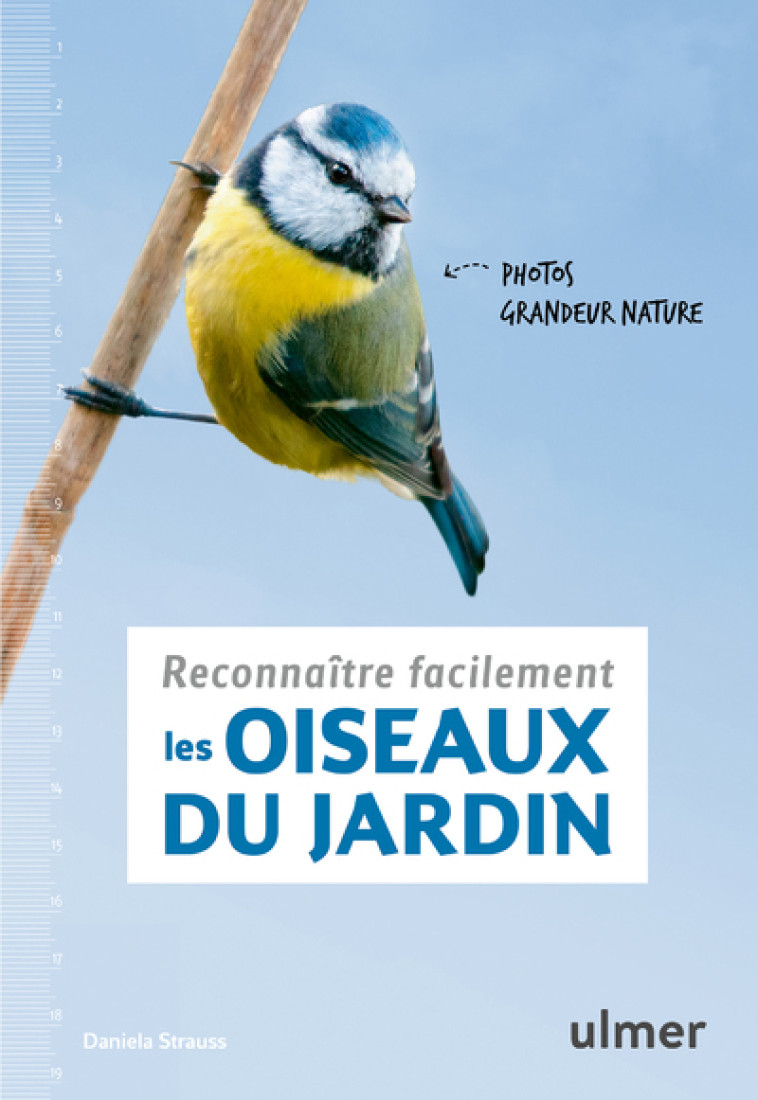 Reconnaître facilement les oiseaux du jardin - Photos grandeur nature - Daniela Strauss - ULMER