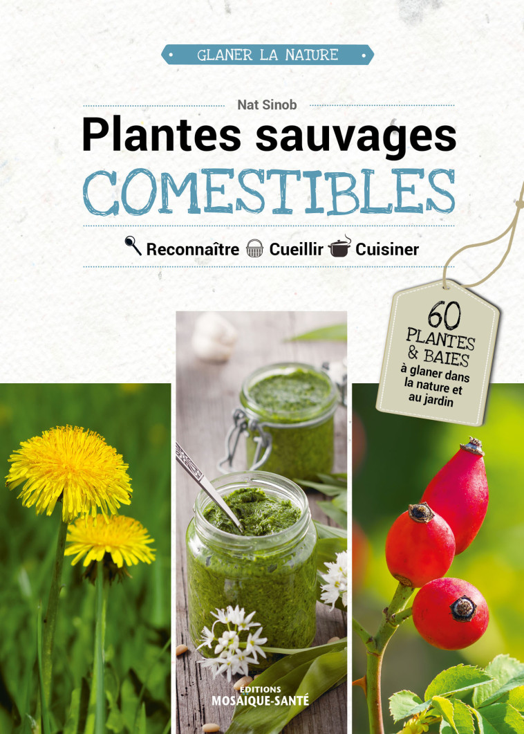 Plantes sauvages comestibles - Nat Sinob - MOSAIQUE SANTE