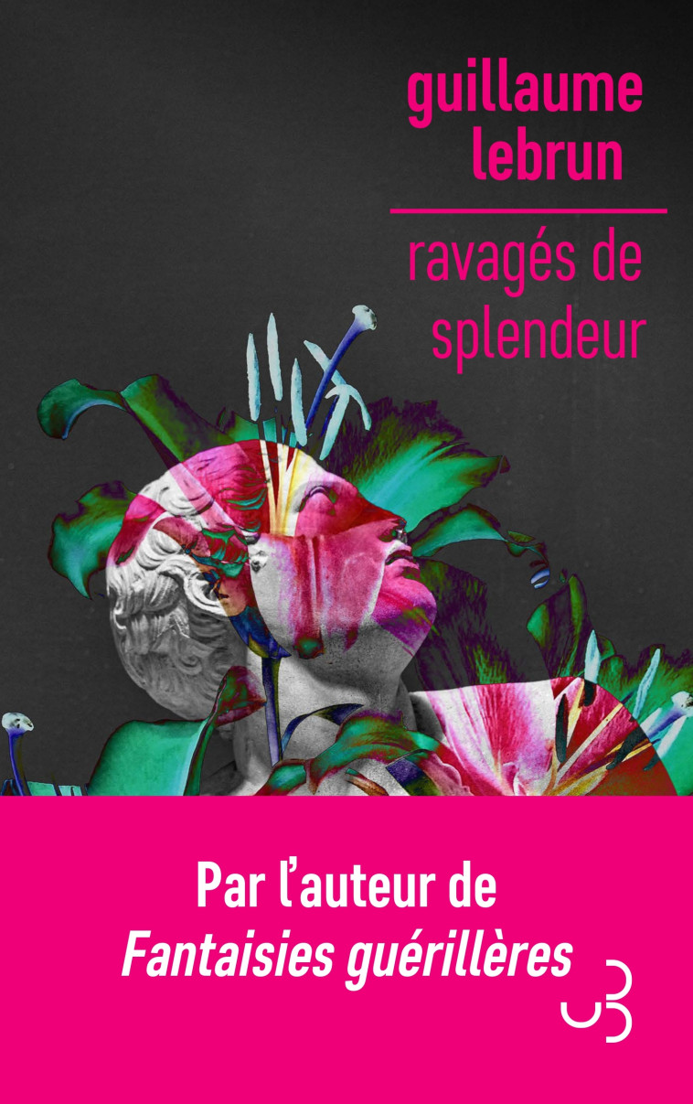 Ravagés de splendeur - Guillaume Lebrun - BOURGOIS