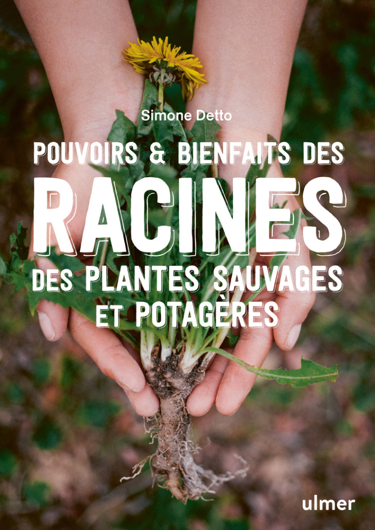 Pouvoirs & bienfaits des racines des plantes sauvages et potagères - Pommades, teintures, infusions, vins, fumigations, recettes gou - Simone Detto - ULMER