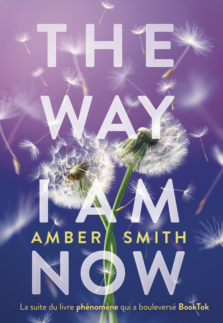 The Way I am now -  AMBER SMITH, Amber Smith, Caroline Bouet, Amber Smith, Caroline Bouet - GALLIMARD JEUNE